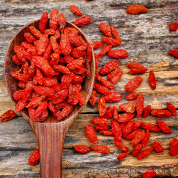 Ningxia en gros séché en vrac Wild Goji Berry